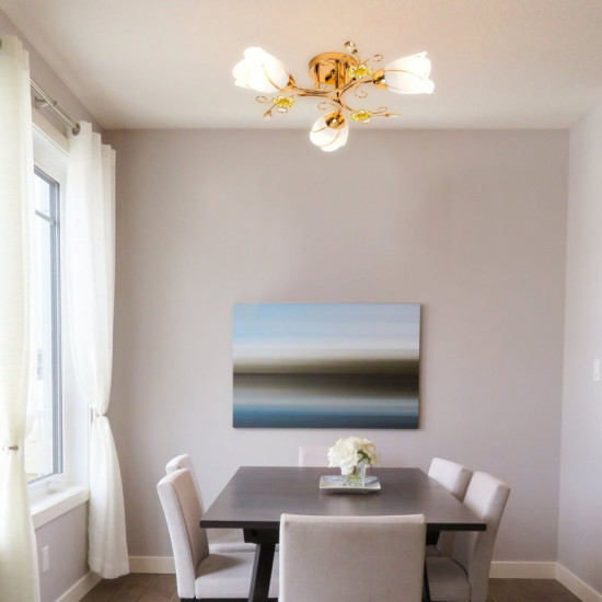 Люстра Sirius B N0282/3 (на 3 плафона)