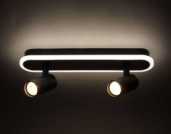 Люстра Sirius PRD-C 0371-2 42W в стиле лофт з поворотним механізмом на 2 лампочки