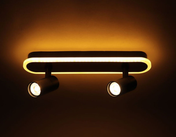 Люстра Sirius PRD-C 0371-2 42W в стиле лофт з поворотним механізмом на 2 лампочки