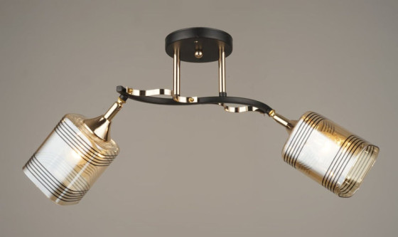 Люстра стельова Sirius B N4382/2 BK+FGD з поворотним механізмом