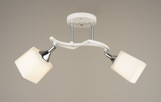 Люстра стельова Sirius B N4483/2 на 2 плафони з поворотним механізмом