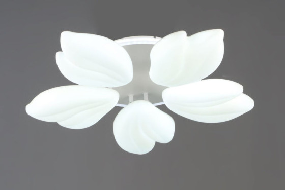 Люстра стельова світлодіодна Valeso 5 плафонів LED 76W Білий Сталь Акрил 3000K+6500K YH1413/5