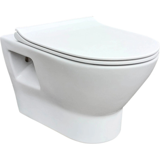 Інсталяція з унітазом RJ FEEL Rimless, сидіння Slim slow-closing + Інсталяція Geberit DUOFIX, клавіша DELTA01, хром (RJ4545+458.133.21.3)