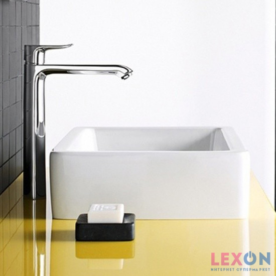 Hansgrohe Focus 31531000