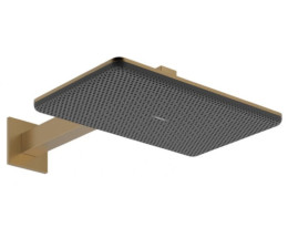 Лійка для верхнього душу Hansgrohe Raindance Alive Q 24550140 шліфована бронза