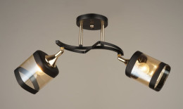 Люстра Sirius B N4484/2 (на 2 плафона)