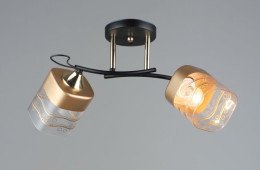 Люстра потолочная Sirius A4123/2 на 2 плафона