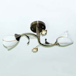 Люстра стельова Sirius B N1508/2 на 2 плафона