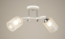 Люстра потолочная Sirius B N4523/2 WT+CH на 2 плафона